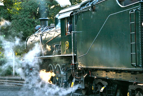 Steam Engine Class 12 of the Royal Livingstone Dinner Train