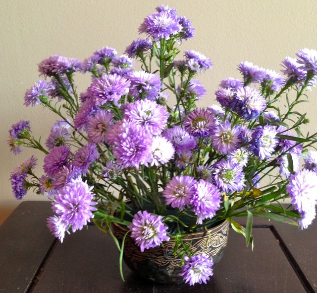 Flowers Image