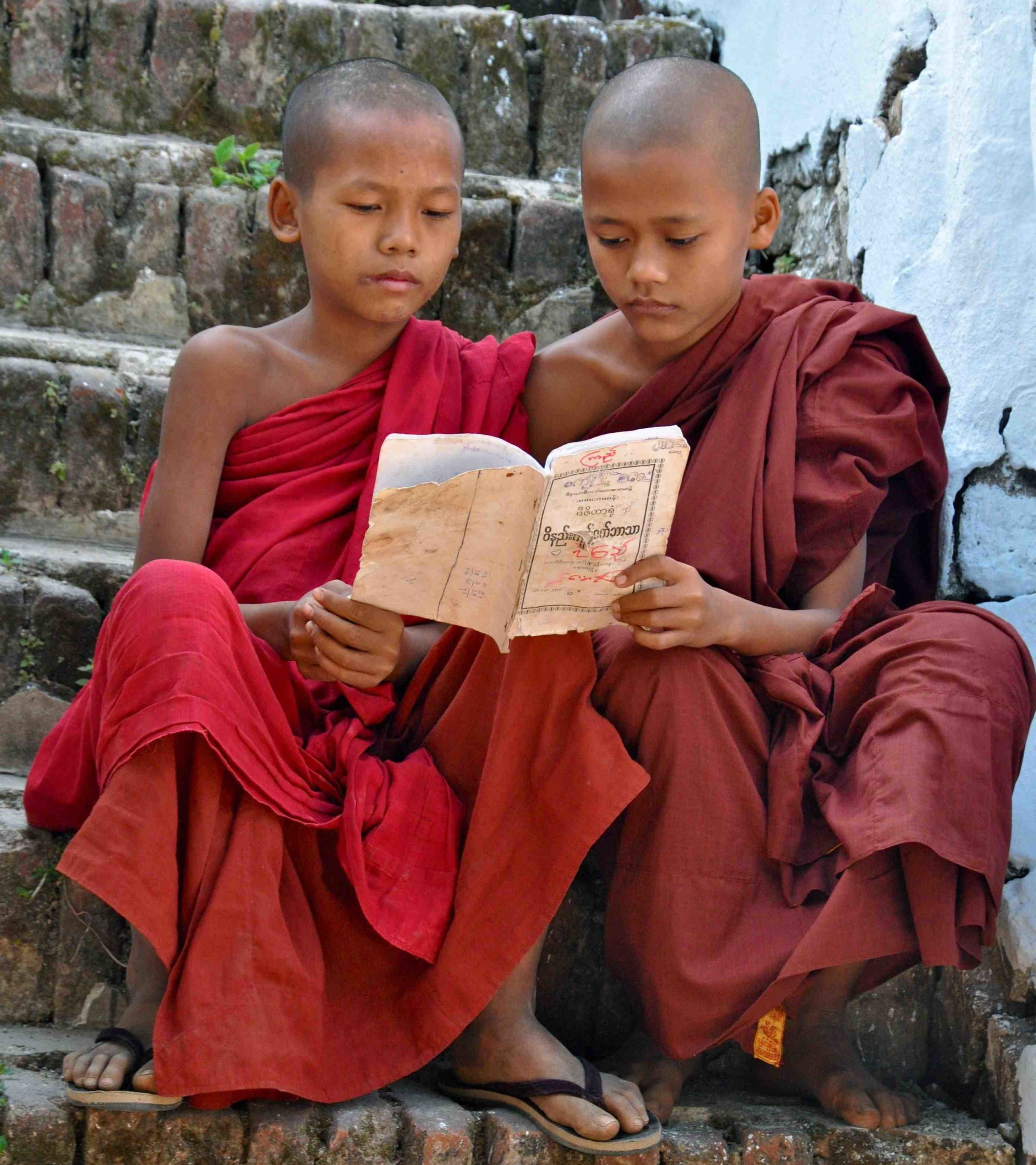 Young Buddhist monks