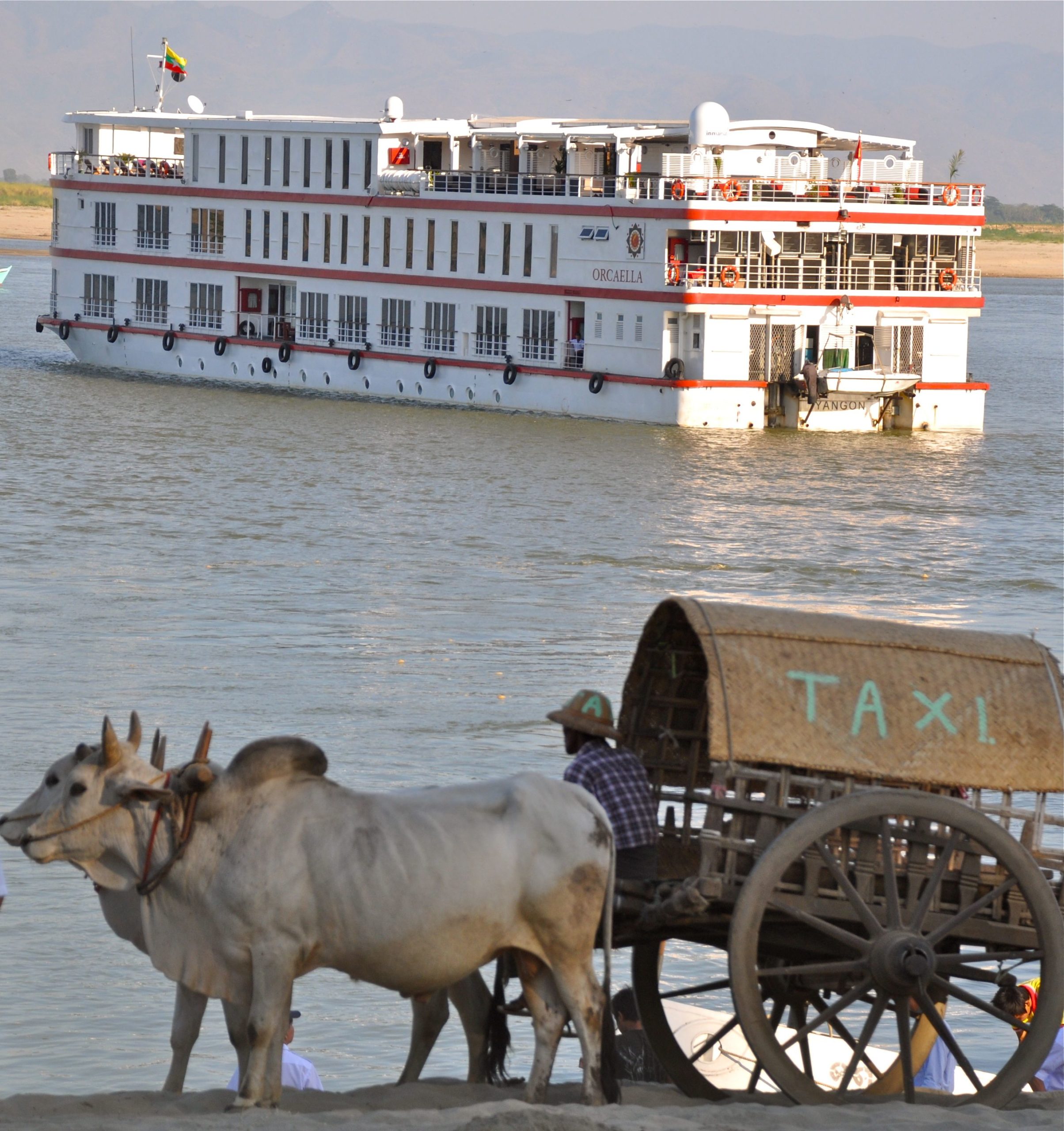 Orcaella with Oxcart Image