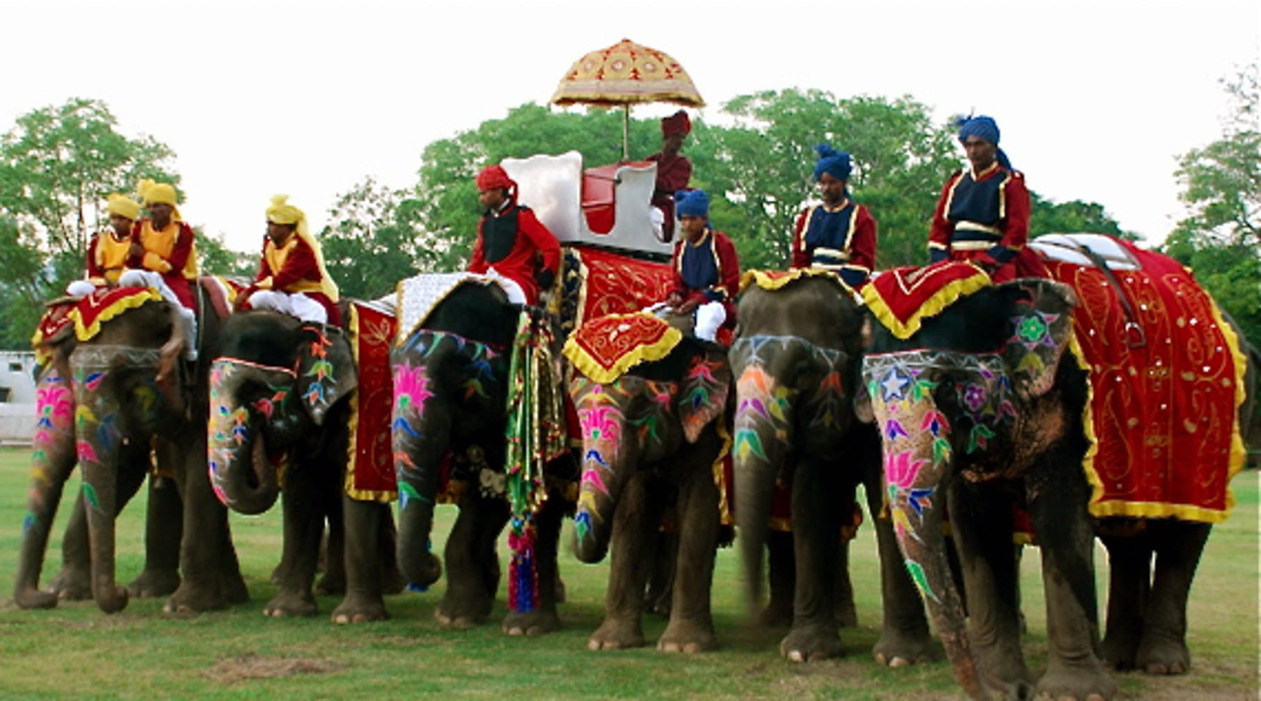 Riding elephants on the Maharajas' Express Indian Splendor, Delhi-Mumbai journey