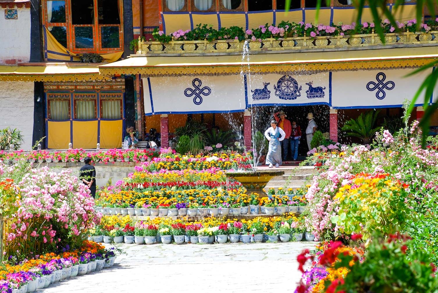 Flowers in Norbu on the China and Tibet Rail Discovery joureny