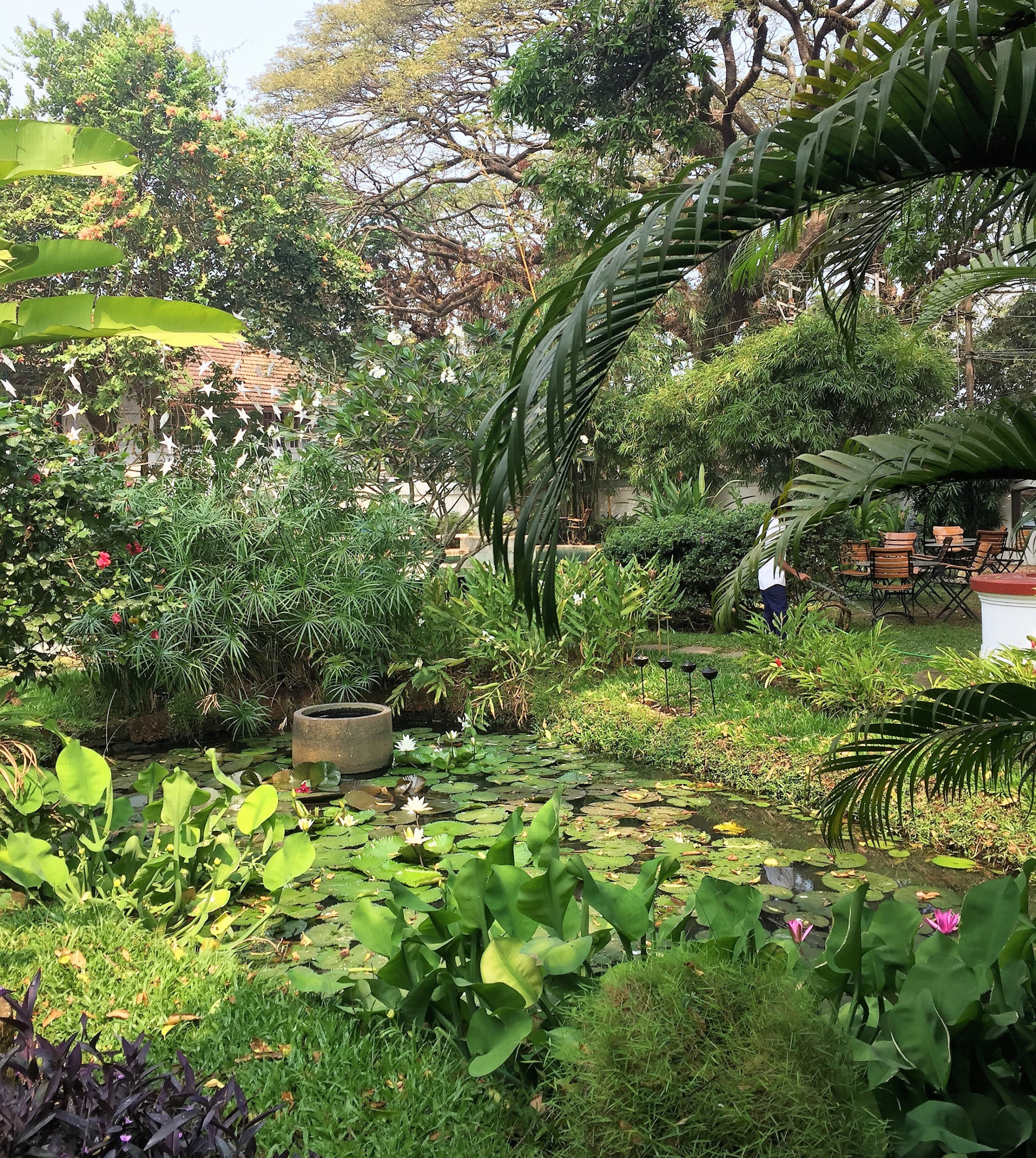 lush-green-cochin-gardens.jpg