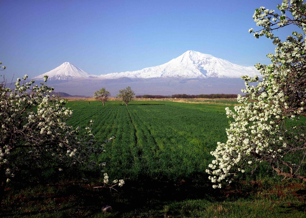 yerevan ararat smaller