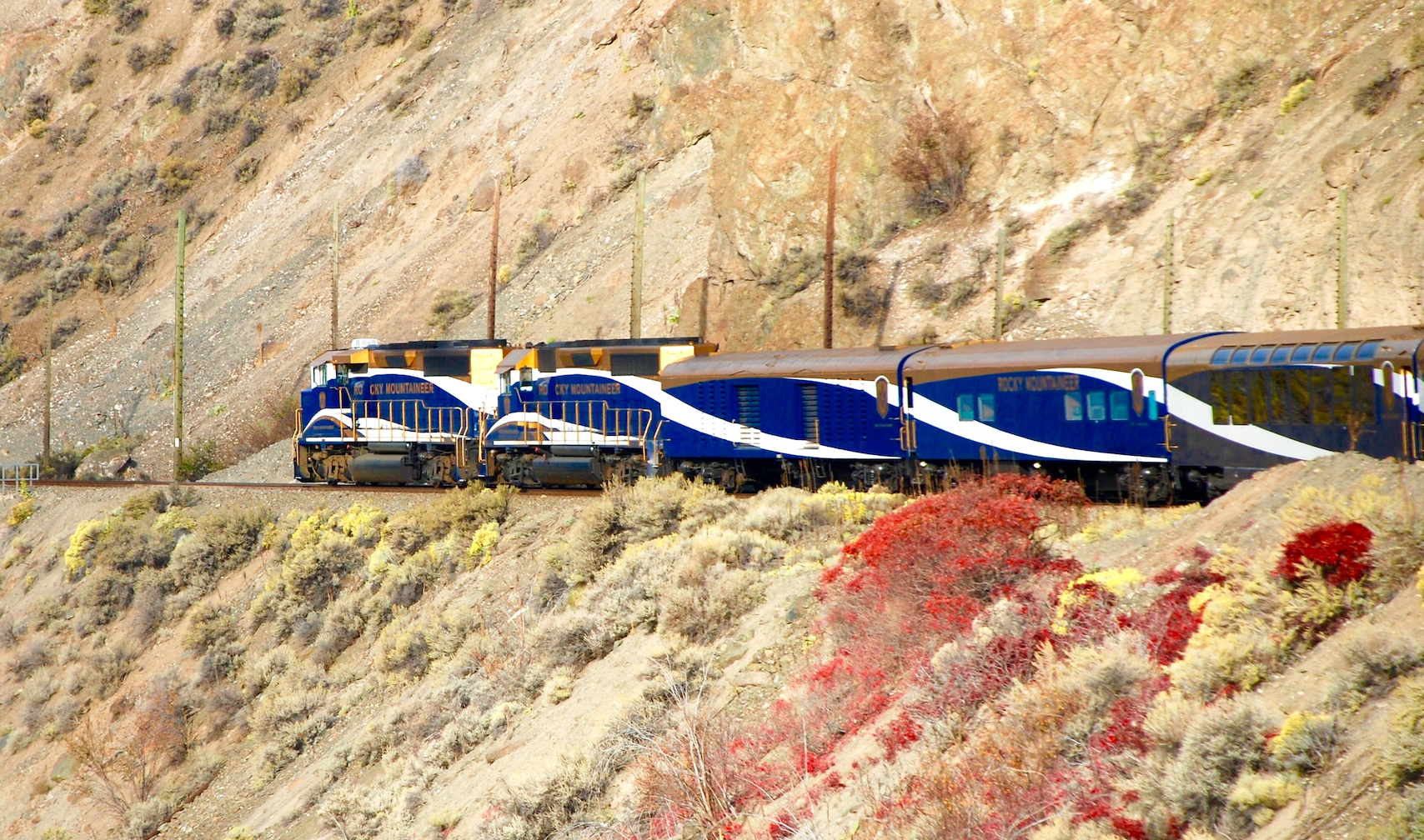 Rocky Mountaineer rounds bed w red bushes